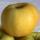 les-fruits-pomme-jaune-reinette-d-armorique-sachet-de-1-kg-france-ab