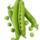 les-legumes-petits-pois-a-ecosser-sachet-de-1kg-france-ab
