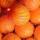 les-fruits-10-kg-d-oranges-a-jus-soit-2.27-le-kilo-espagne-ab-categorie-2.-pensez-a-les-stocker-au-frais-pour-une-conservation-prolongee.